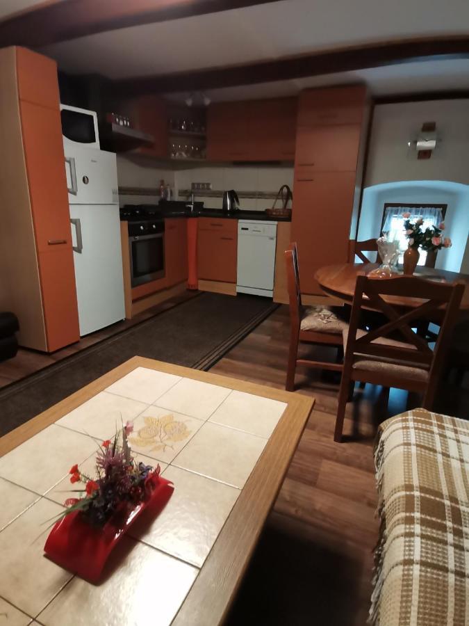 Apartman Ve Mlejne Nová Bystřice エクステリア 写真