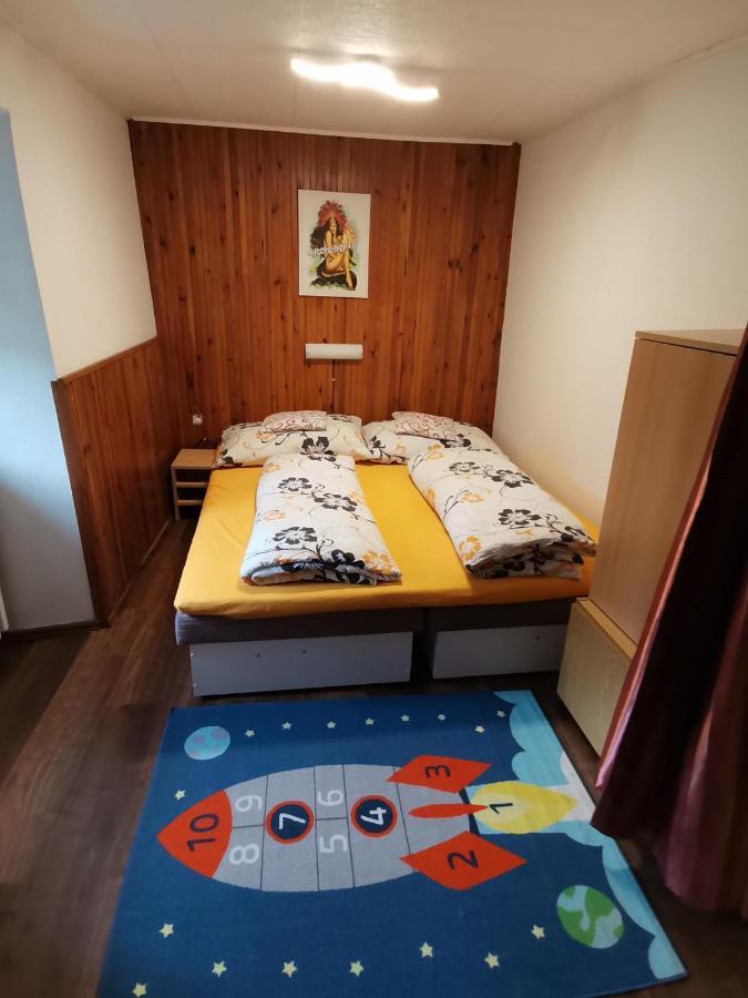 Apartman Ve Mlejne Nová Bystřice エクステリア 写真
