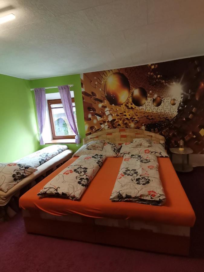 Apartman Ve Mlejne Nová Bystřice エクステリア 写真