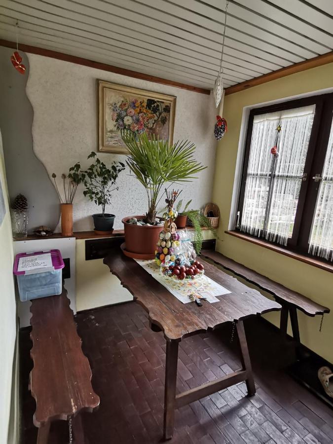 Apartman Ve Mlejne Nová Bystřice エクステリア 写真