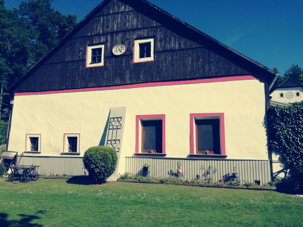 Apartman Ve Mlejne Nová Bystřice エクステリア 写真
