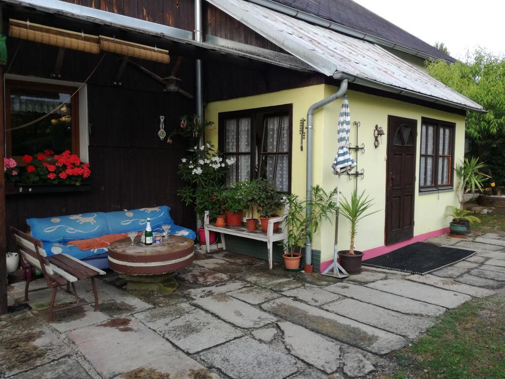 Apartman Ve Mlejne Nová Bystřice エクステリア 写真